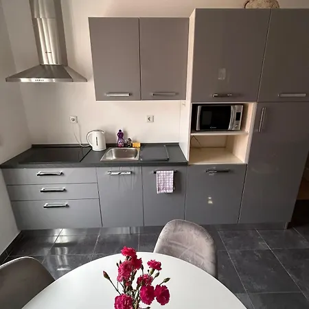 Daisy 公寓 斯拉汀